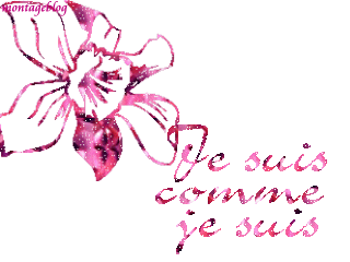 Je suis comme je suis
